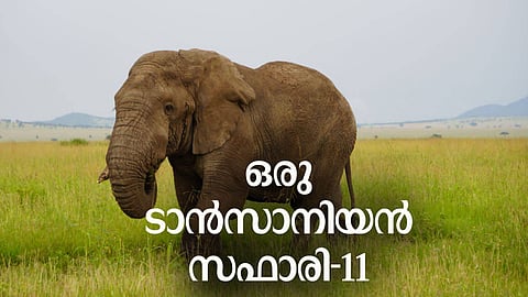 ''വിരഹത്തിനു തയ്യാറെടുക്കുന്ന കമിതാക്കളെപ്പോലെയാണിപ്പോള് ഞങ്ങളും സെരങ്കട്ടിയും അതിലെ മൃഗങ്ങളും മരങ്ങളും പുല്പ്പരപ്പും പാറക്കെട്ടുകളും''