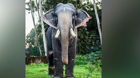 തൃക്കാരിയൂര് ശിവനാരായണന്