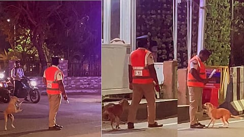 Viral video dog