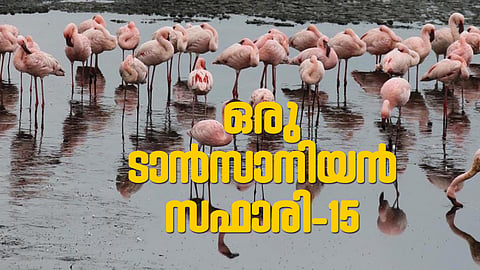 പക്ഷികളുടെ പറുദീസയില്