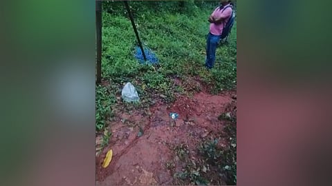 Wayanad Bomb