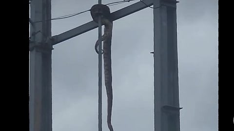 PYTHON