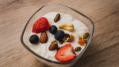 yogurt