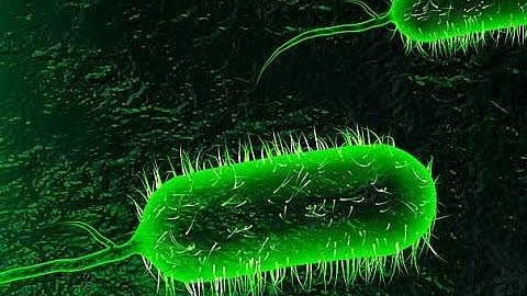 cholera diagnosed in Thiruvananthapuram