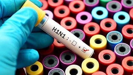 h1n1