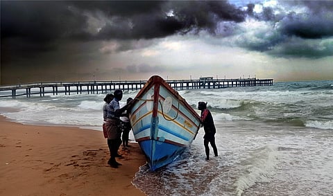 കടലാമകള് വില്ലനായി; ചെമ്മീന് യുഎസിലേക്കില്ല