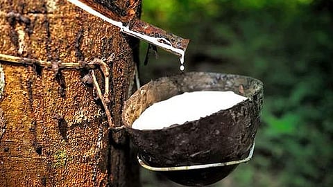 rubber price