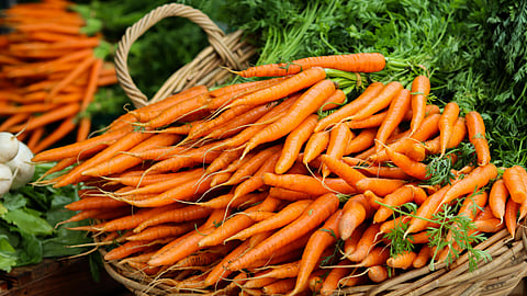baby carrot