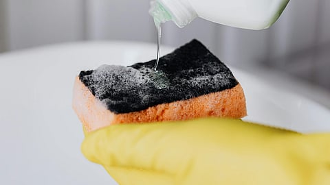 sponge