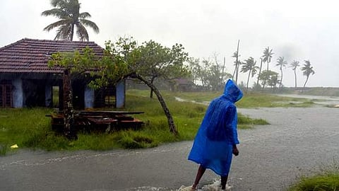 rain