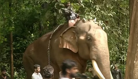 Puthuppally Sadhu was found