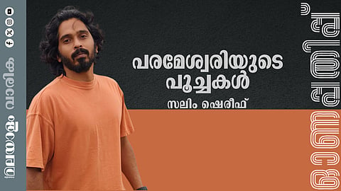 സലീം ഷെരീഫ് എഴുതിയ കഥ: പരമേശ്വരിയുടെ പൂച്ചകൾ