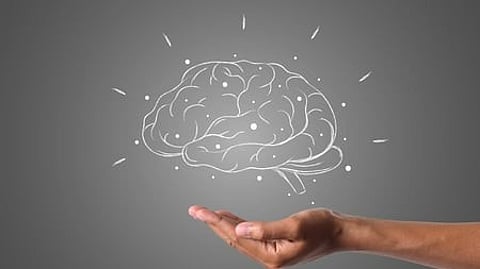 brain