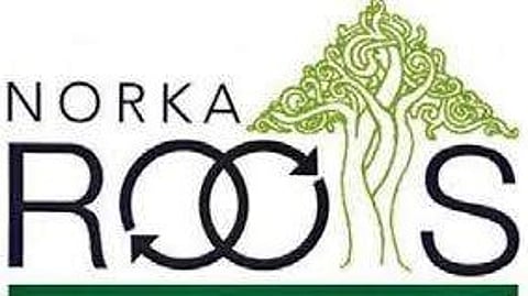 Study Nursing in Germany with Stipend; Apply for NORCA Triplewin Trainee Programme