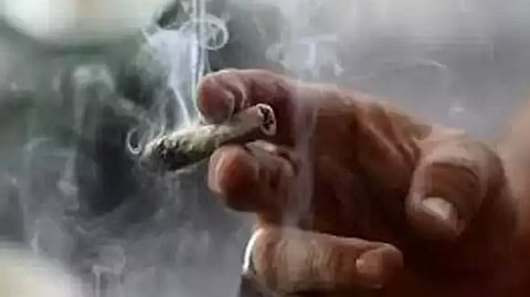 kanjavu beedi