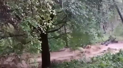 landslide suspected