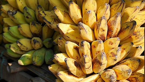 banana