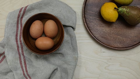egg