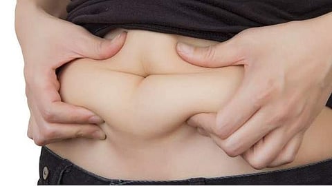 belly fat