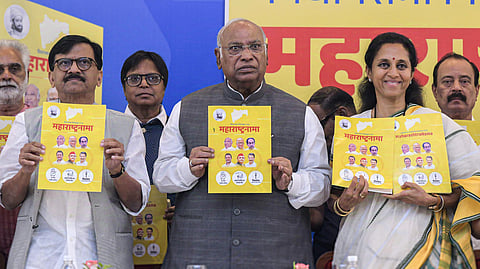 MVA manifesto