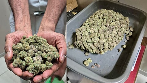 Kerala fast turning into hub for hybrid ganja smuggling