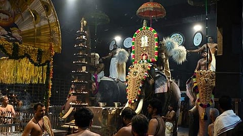 elephant parade