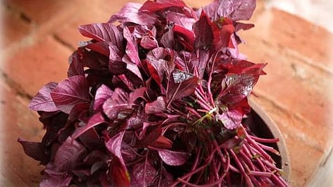 spinach