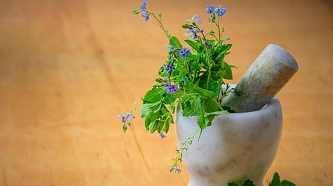 natural products