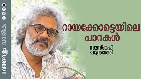 സുസ്മേഷ് ചന്ത്രോത്ത് എഴുതിയ കഥ 'റായക്കോട്ടെയിലെ പാറകള്'