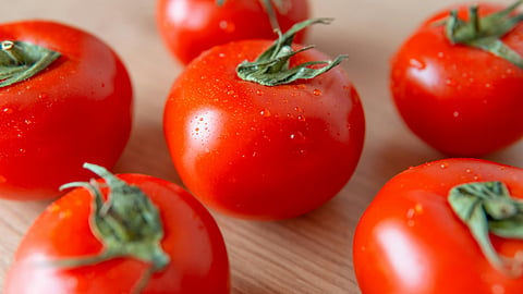 tomato