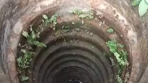 elderly woman fell on well, miraculous survival at kootanad