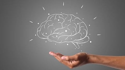brain