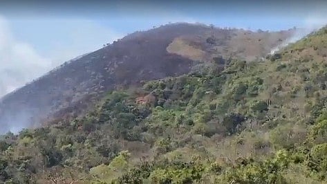wayanad forest fire
