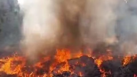 garbage caught fire