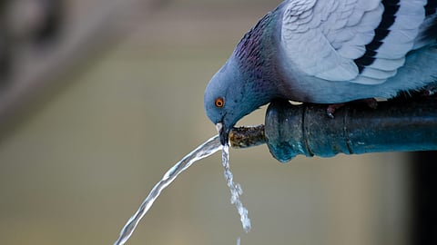 world water day