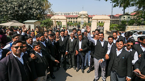 advocates
