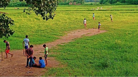 Cricket: കണ്ടം ക്രിക്കറ്റ് ചെറിയ കളിയല്ല, ഒപ്പം ഇറങ്ങാന് കലക്ടറുമുണ്ട്!