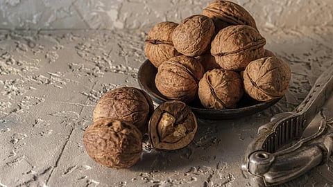 walnut