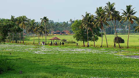 Kadambrayar