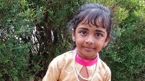 stray dog attack