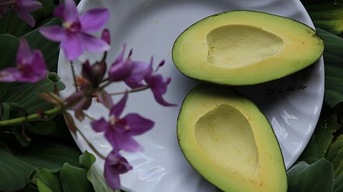 avocado