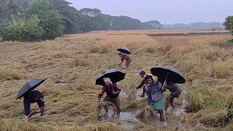 Agriculture Department opens control rooms