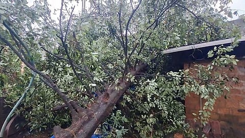 heavy wind at Chalakudy