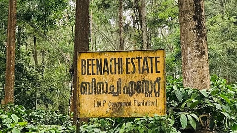Beenachi Estate's Rs 500-cr market value makes takeover a tough task for Kerala
