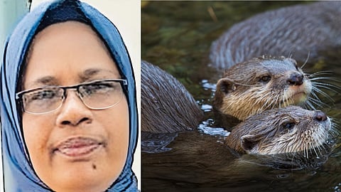 otter attack