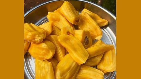 KSRTC employees caught in breath analyzer test after eating jackfruit