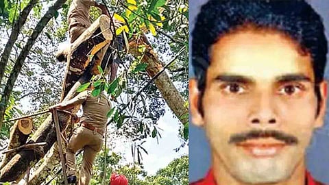 abraham alappuzha