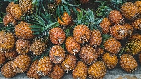 Pineapple