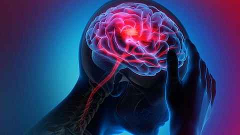 representational image for Amoebic Encephalitis