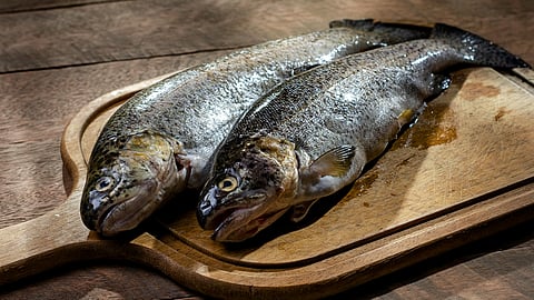 Fish cleaning tips